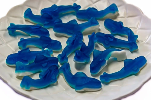 Park Lane Bulk Chocolate & Lollies Blue Gummy Sharks 2.5kg